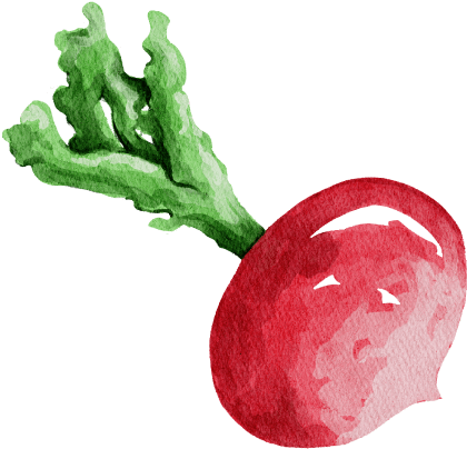 organic farming illustrations 06